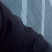 Profile photo of Alen Mehinović